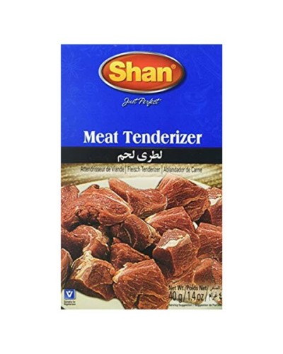 SHAN MEAT TENDERIZER