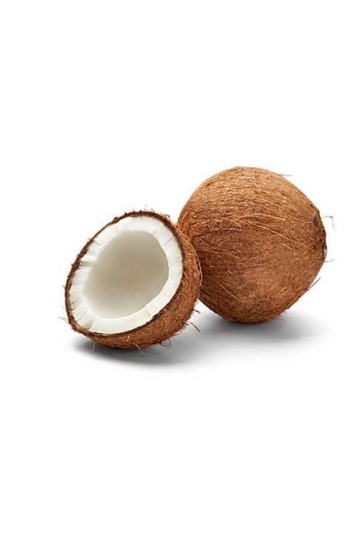 YOGINI DRIED COCONUT