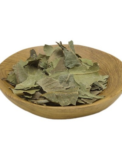 ZAIKA NEEM LEAVES